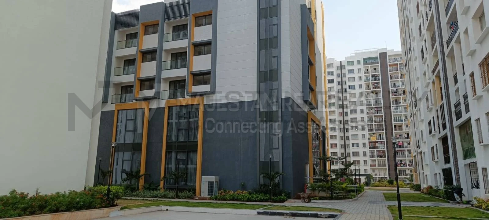TVH Vista Height photo 7